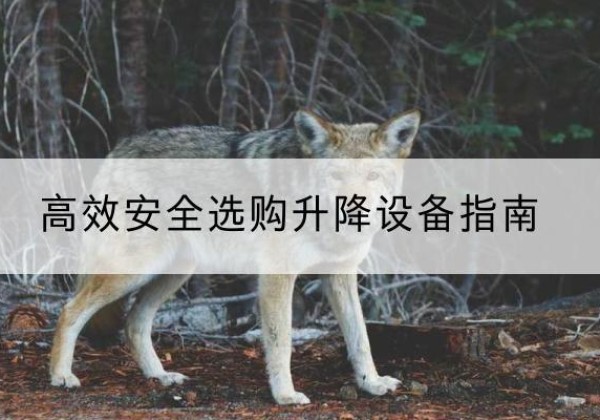 丰宁升降货梯厂家推荐-*安全选购升降设备指南