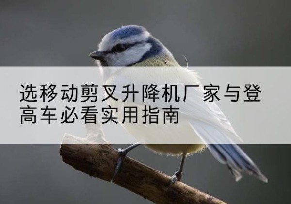 丰宁电动升降机厂家-选移动剪叉升降机厂家与登高车必看实用指南