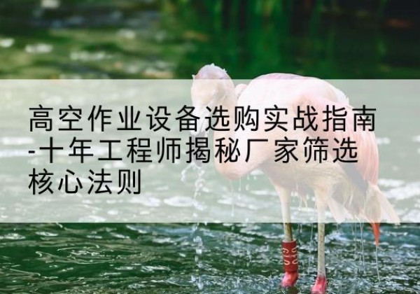 丰宁剪叉式升降机厂家-高空作业设备选购实战指南-十年工程师揭秘厂家筛选核心法则